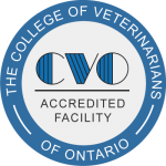East-end vet faces suspension, $85,000 in costs over neglect case