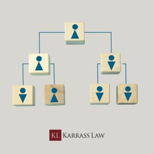 pyramid scheme ponzi scheme lawyer